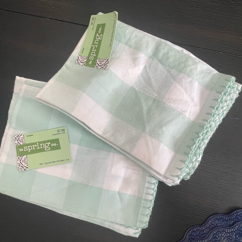 The Spring Shop Mint and White Buffalo-Check Napkin Pair